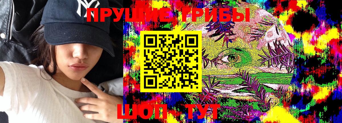 Псилоцибиновые грибы Cubensis  Вход с VPN  Калуга 